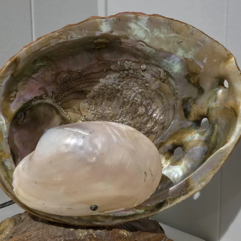 Vintage 60s Abalone Shell Lamp Mother of Pearl Coastal Beach Decor Night Light